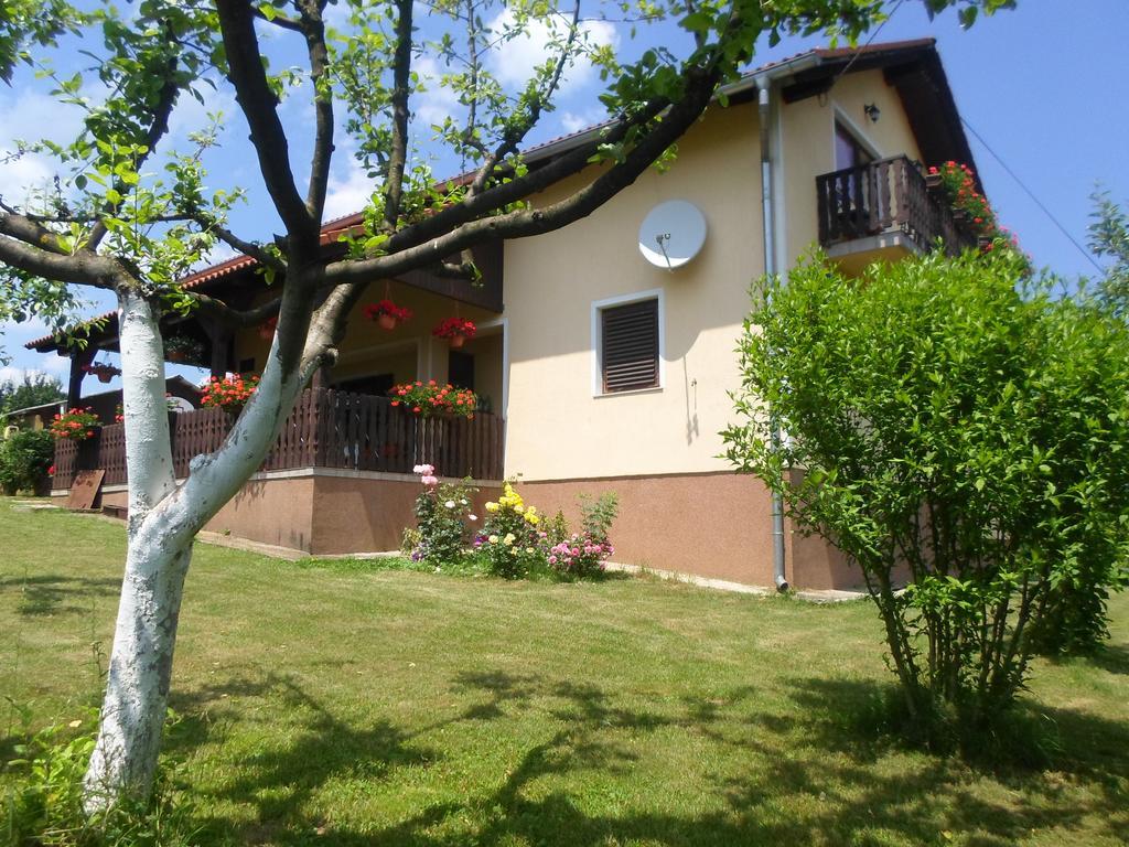 Ferienwohnung House Petra Rakovica Exterior foto